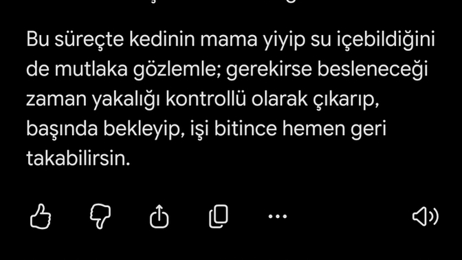 AI ile aranız nasıl, doğru kullandığınızı düşünüyor musunuz?