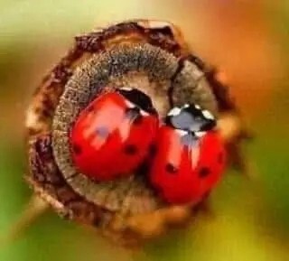 Günaydınlar olsun 🥰 hayat devam ediyor , ya acının en derin olduğu yerde dursaydi ne kadar zor olurdu öyle değil mi?