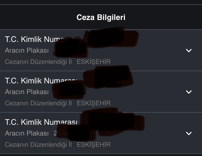 Hiç trafik cezası yediniz mi?