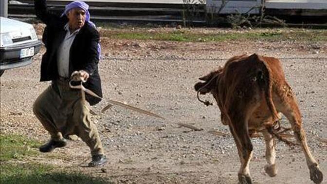 Ne kesiyonuz la yarın?