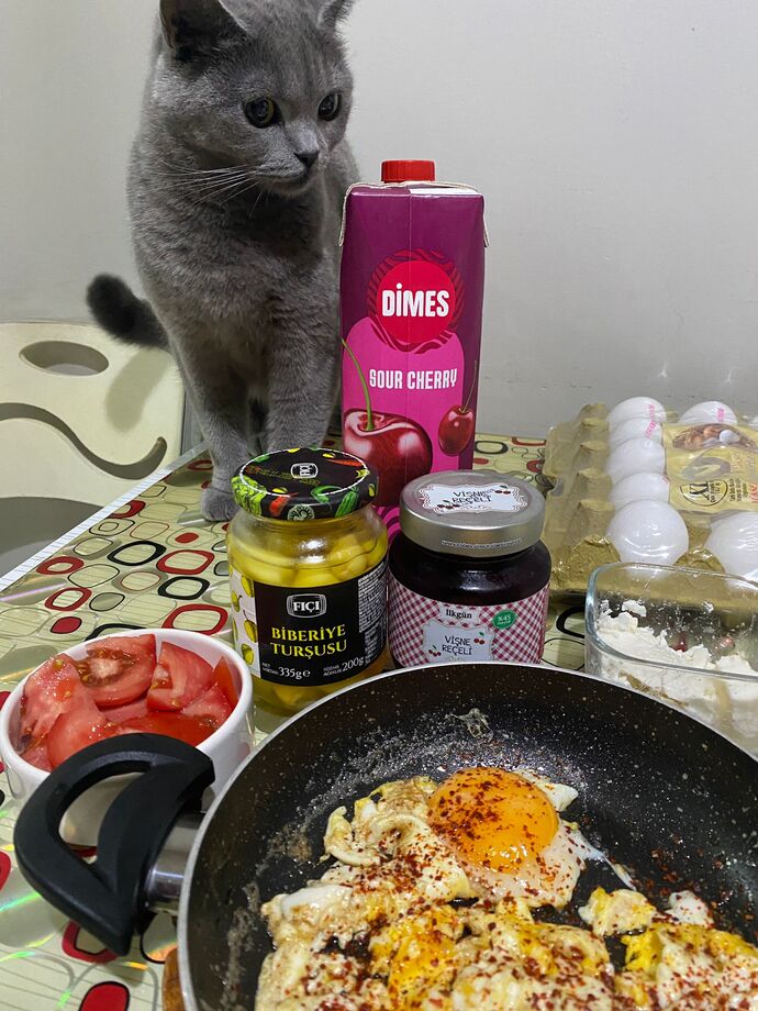 Dünyanın en iyi sunumu seçilen akşam yemeğimi gördünüz mü?