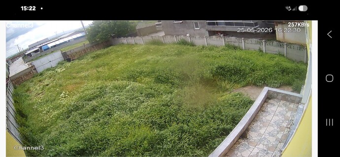 Bahçedeki yabani otlar için en hesaplı çözüm ne olur, beton mu mıcır mı?