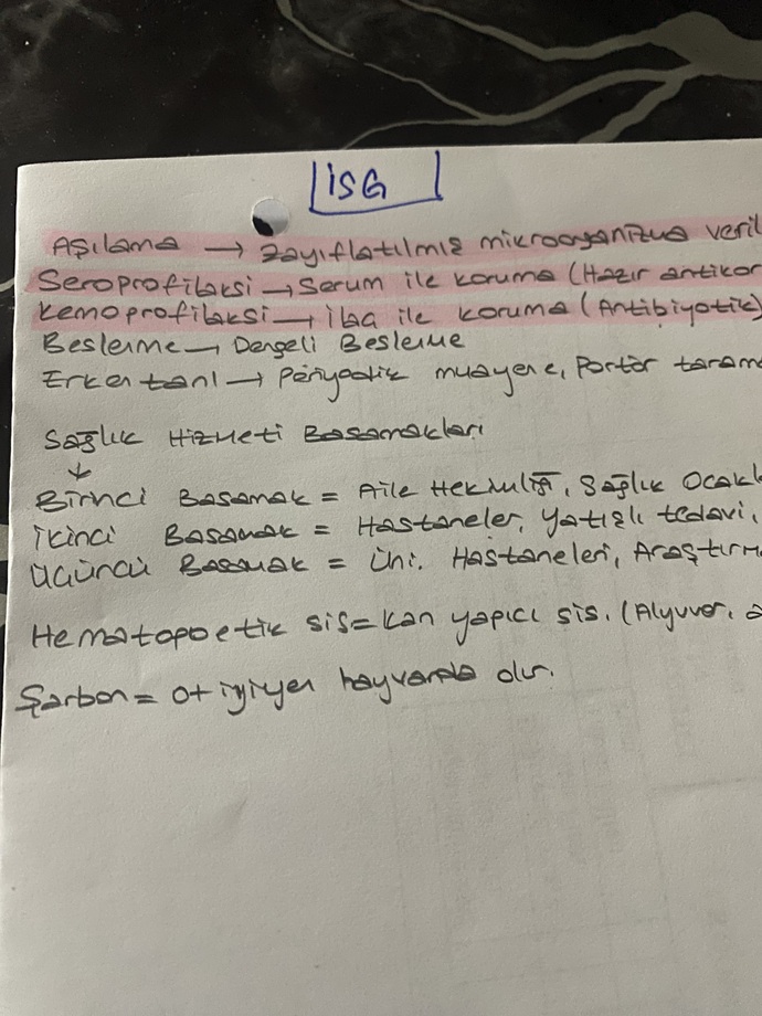 Sizce yazım güzel mi?