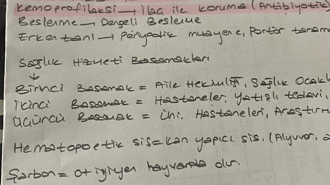 Sizce yazım güzel mi?