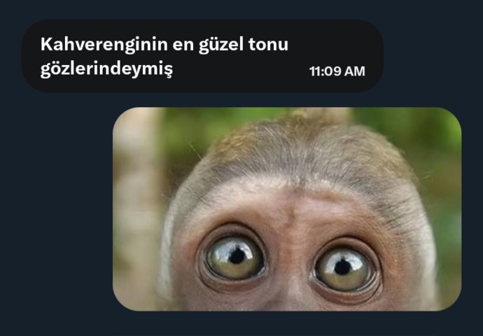 İltifatlara karsi nasıl davranıyorsunuz?