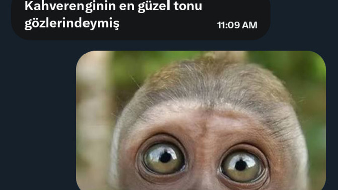 İltifatlara karsi nasıl davranıyorsunuz?