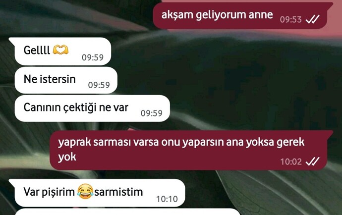 Baba ocağına gelir gelmez benim duramayış kaç puan 😄🙋‍♀Gece karışık sarma & kuru dolma yaptım bizim yiyeceğimiz kadar da olsa?