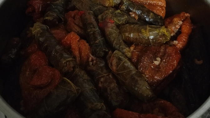 Baba ocağına gelir gelmez benim duramayış kaç puan 😄🙋‍♀Gece karışık sarma & kuru dolma yaptım bizim yiyeceğimiz kadar da olsa?