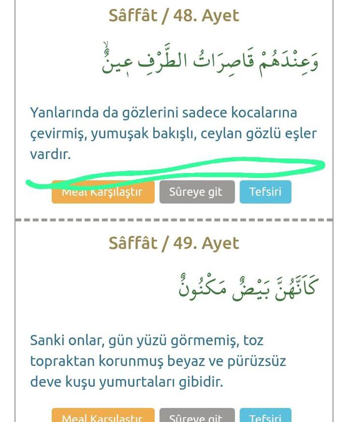 Kuran Kerim in bu ayetleri hakkında ne düşünüyorsunuz?