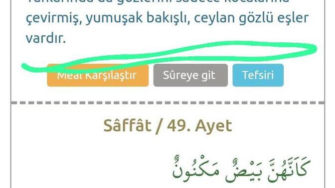 Kur'an Kerim in bu ayetleri hakkında ne düşünüyorsunuz?
