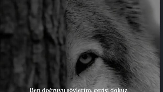 Menfaatçi olmayan biri olarak her doğruyu her yerde söylemek zorunda mıyım?