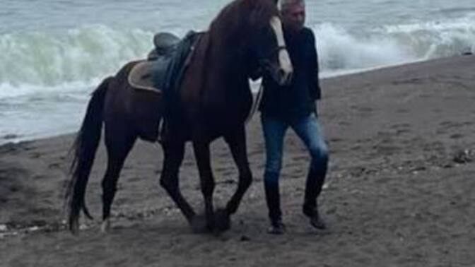 At turuna katılıp dört nala koştunuz mu?