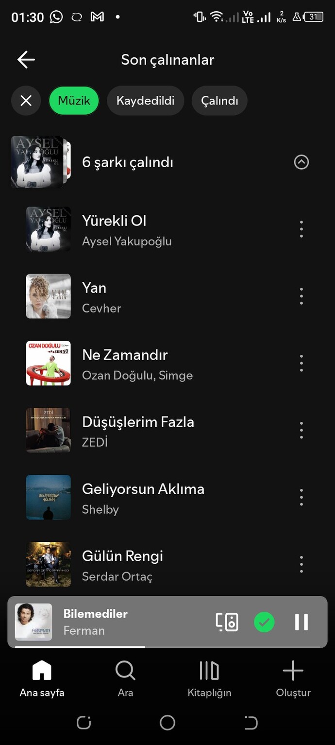 En son dinlediginiz veya izlediğiniz şeyi dinleyip veya izleseydim bu ne olurdu?