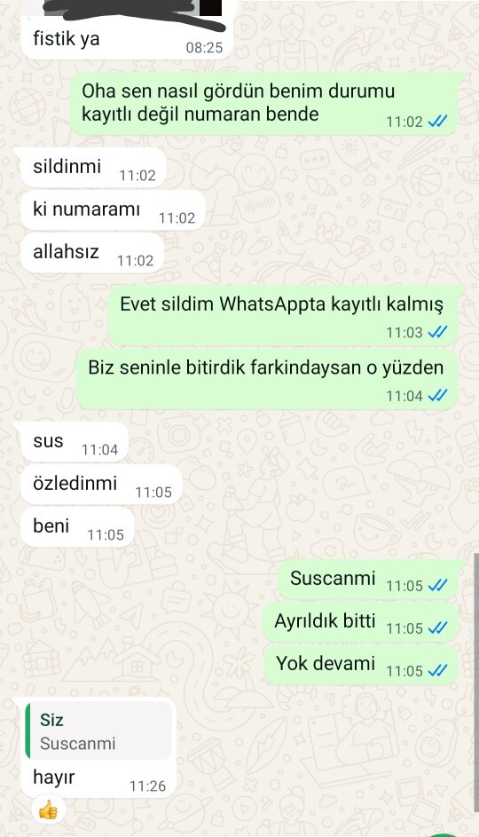 Ayrıldıktan 1,5 ay sonra dönen exle tekrar olurmuydunuz?