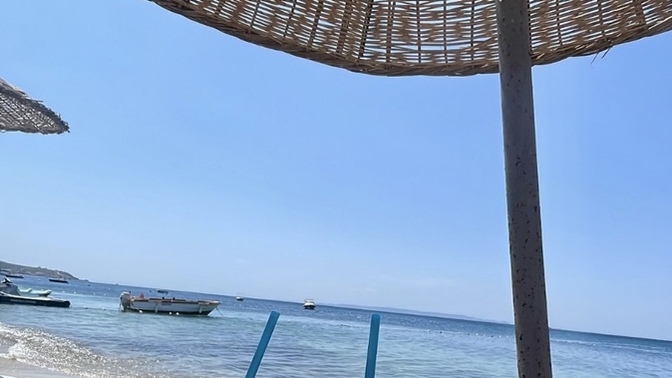 Gudmormikkk gençler, sabah sabah neler yapıyorsunuz nelerle uğraşıyorsunuz?