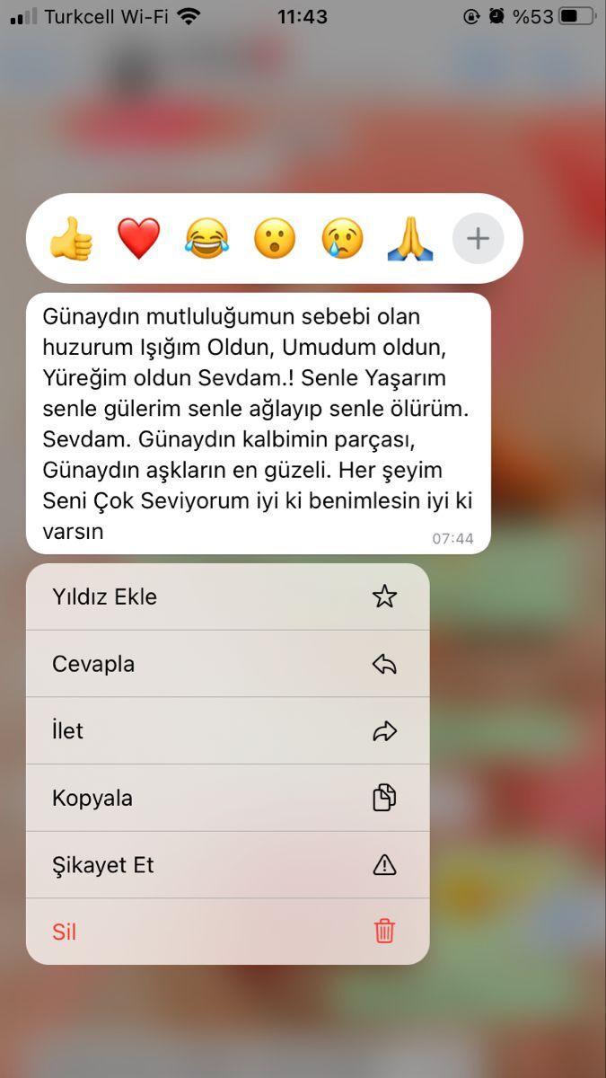 GÖRSEL ALINTIDIR!