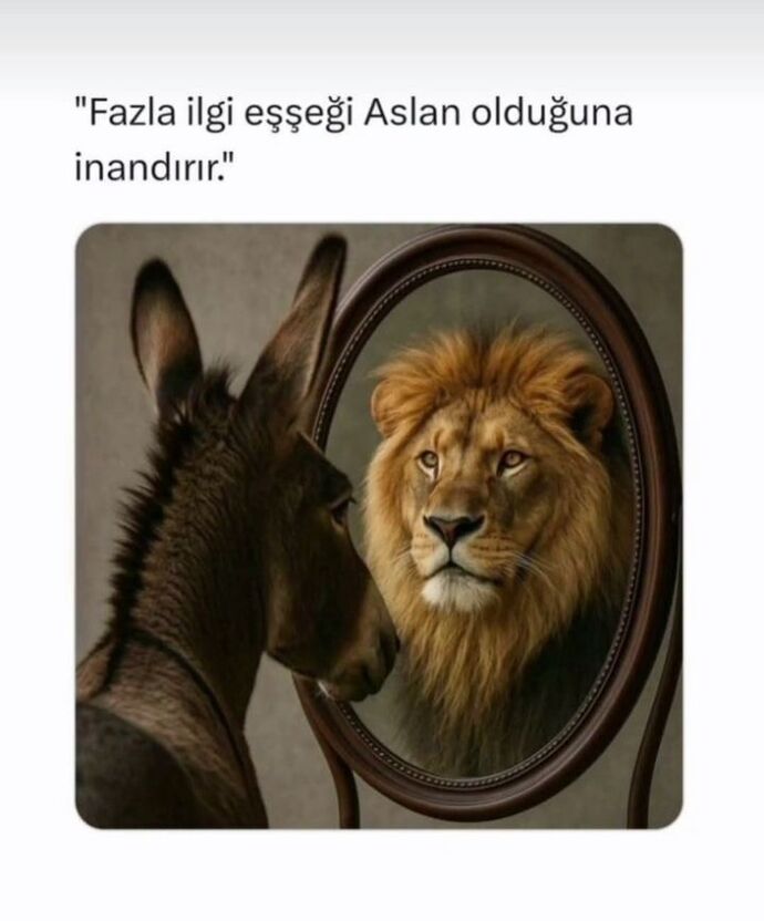 Uyumsuz biriyle uyumlu olmak için zorlar mısın?