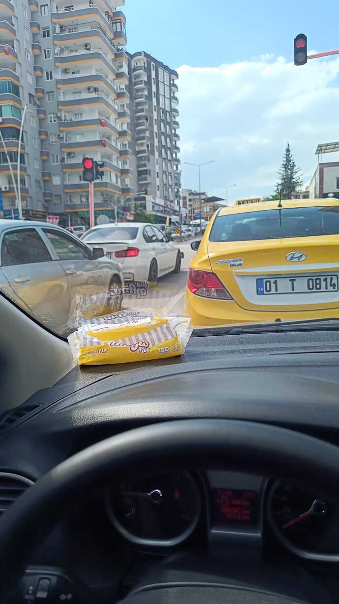 Geldim yine güzel memlekete