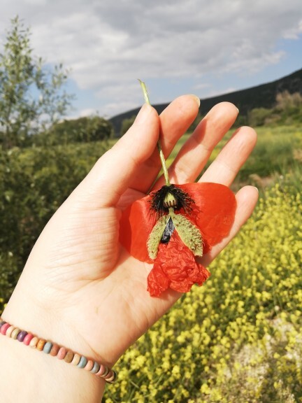 İlgi çekici şeyler hoşunuza gider mi?