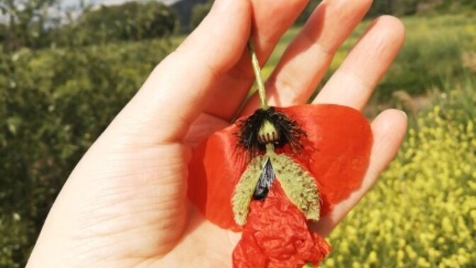 İlgi çekici şeyler hoşunuza gider mi?