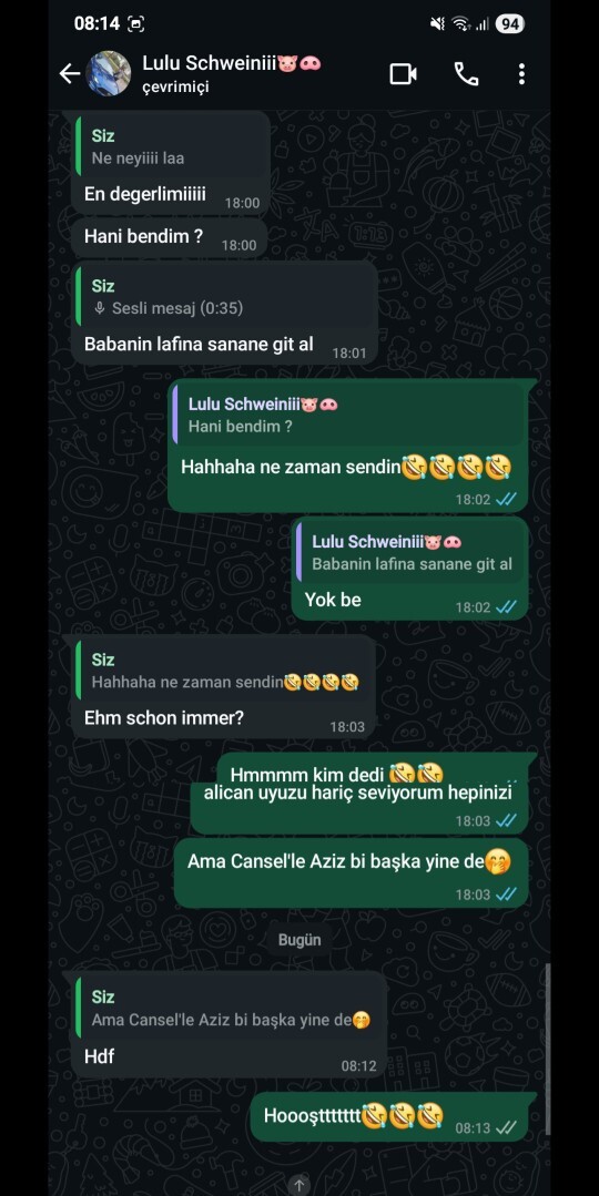 Kardeşinizle aranız nasıldır?