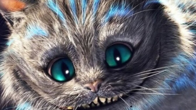 O benim ruh ikizim! Kediler 🐱 sahiplerine benzer mi?