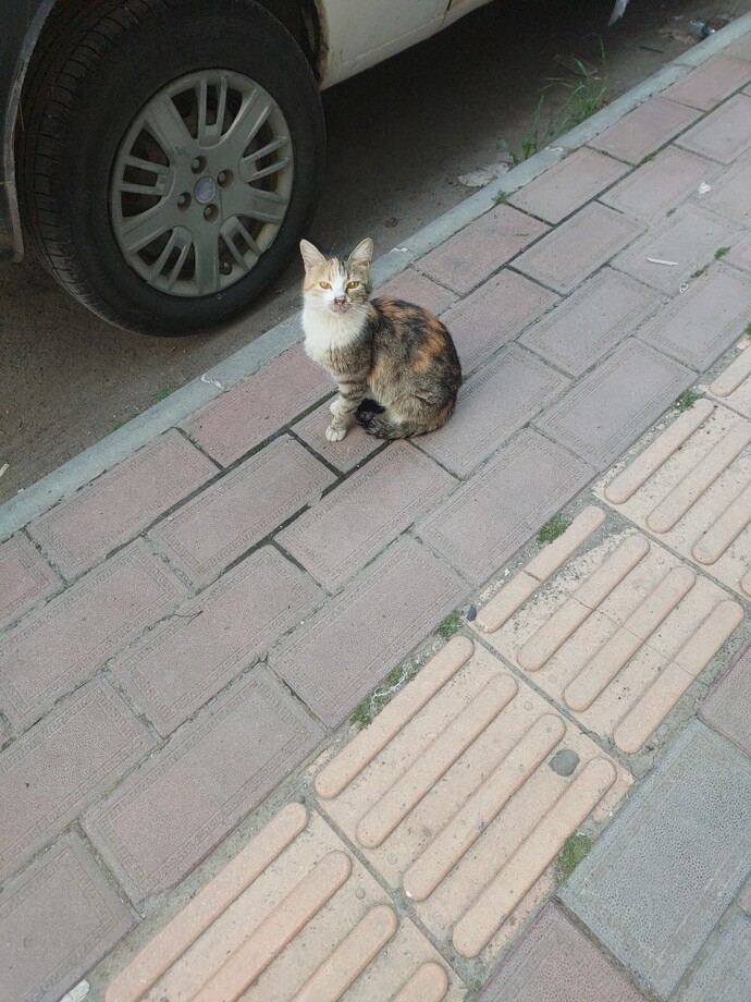 Eniştenize masaj yaptım biraz nasılınız?