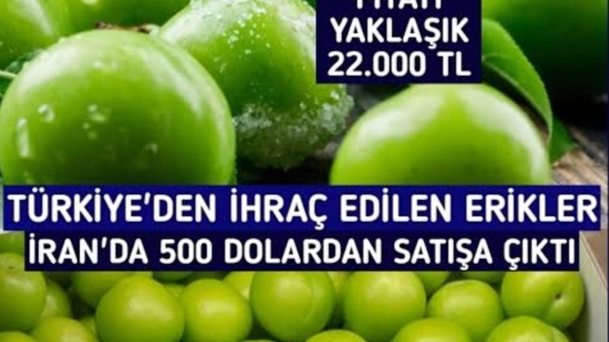 Türkiye’de erik fiyatları uçmuş, siz hâlâ rahat rahat erik alıp yiyebiliyor musunuz?