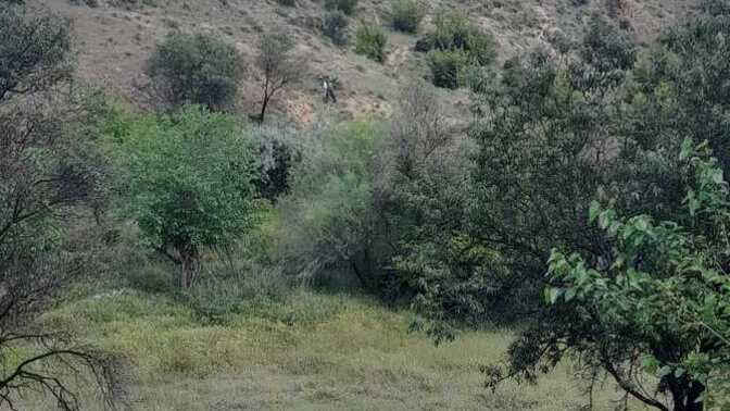 Ne kadar fotojeniksiniz Ben cok sevmem ama boyle manzaraları seviyorum?