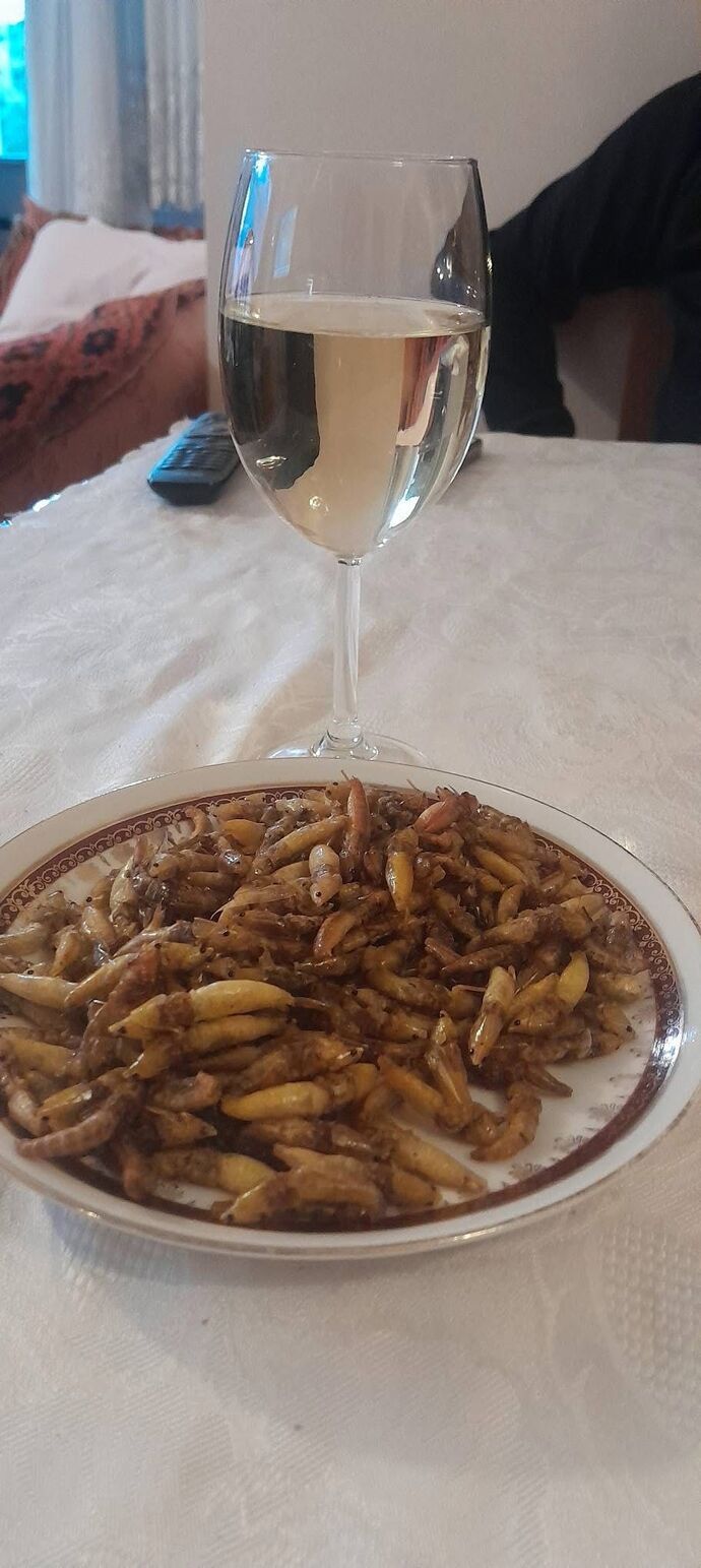 Öğle yemeğine Çekirge gider mi?