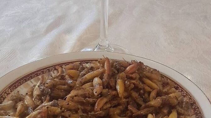 Öğle yemeğine Çekirge gider mi?