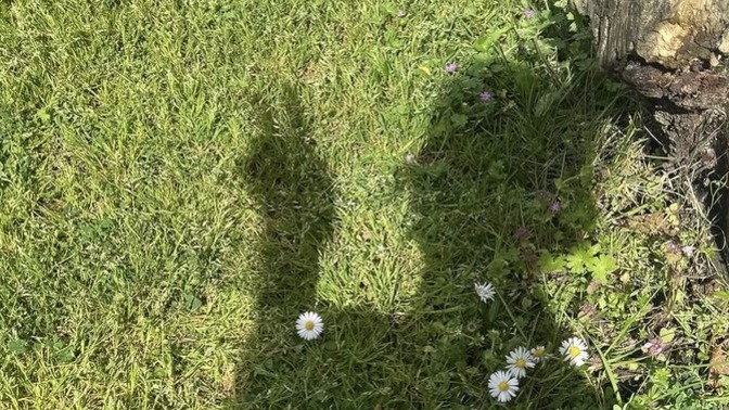 Tatil dönüşü işe adapte olamayıp, ne iş yaptığını unutan var mı 🤭😬?