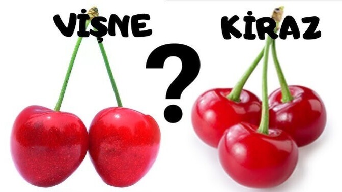Kiraz mı, Vişne mi?