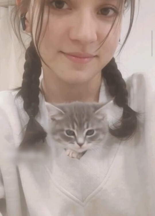 Kulaksız gri yavru kedi sahiplenmek istiyorum, yavru bir miyunuz var mı?