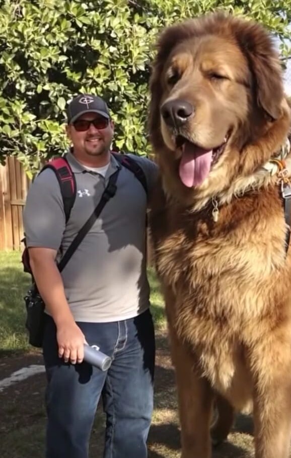 Devasa köpekler 🐶 hayvanlar korkutucu değil mi?