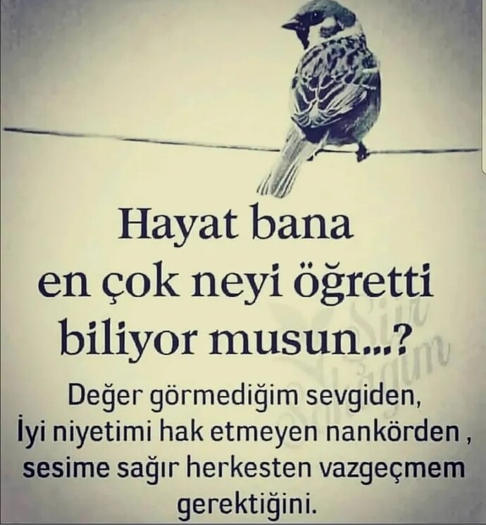 Hayat sana en çok neyi öğretti, sen en çok neden vazgeçtin?