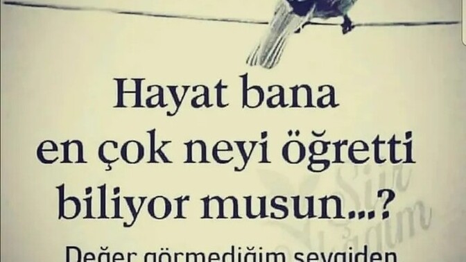 Hayat sana en çok neyi öğretti, sen en çok neden vazgeçtin?