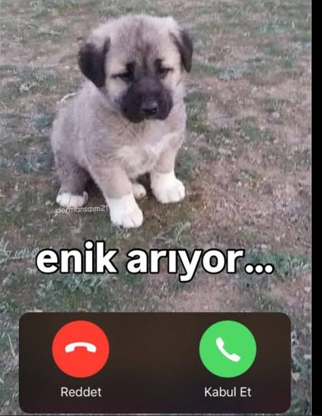 En son sizi kim aradi aramasını beklediğiniz biri var mı telefon da?