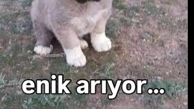En son sizi kim aradi aramasını beklediğiniz biri var mı telefon da?