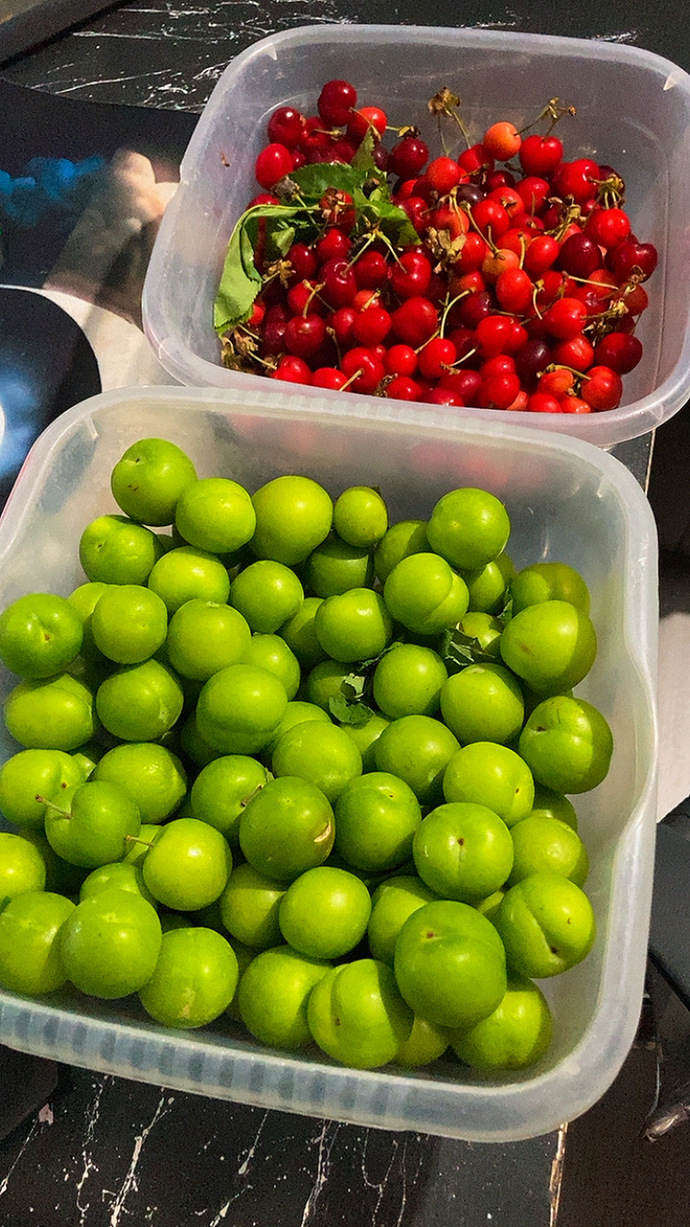 Gece gece midem kazındı kimler bu erik ve kirazlara benle birlikte dalmak ister 🍒?