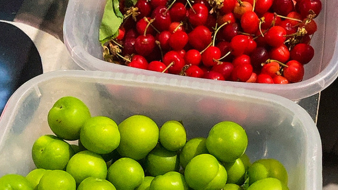 Gece gece midem kazındı kimler bu erik ve kirazlara benle birlikte dalmak ister 🍒?