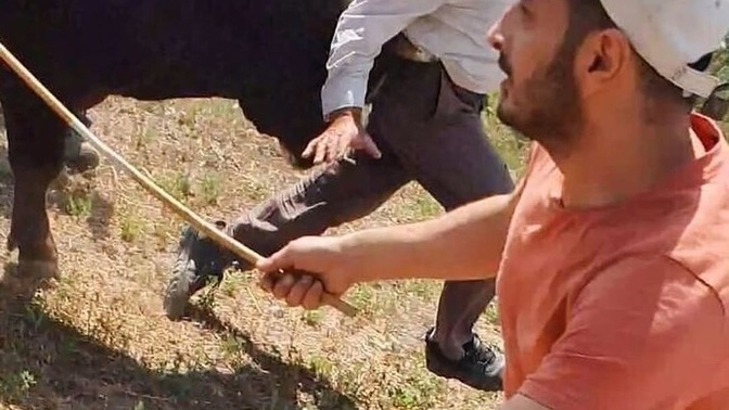 Merdiven inerken/çıkarken adımlarına bakar mısın, yoksa ezbere mi yürürsün?