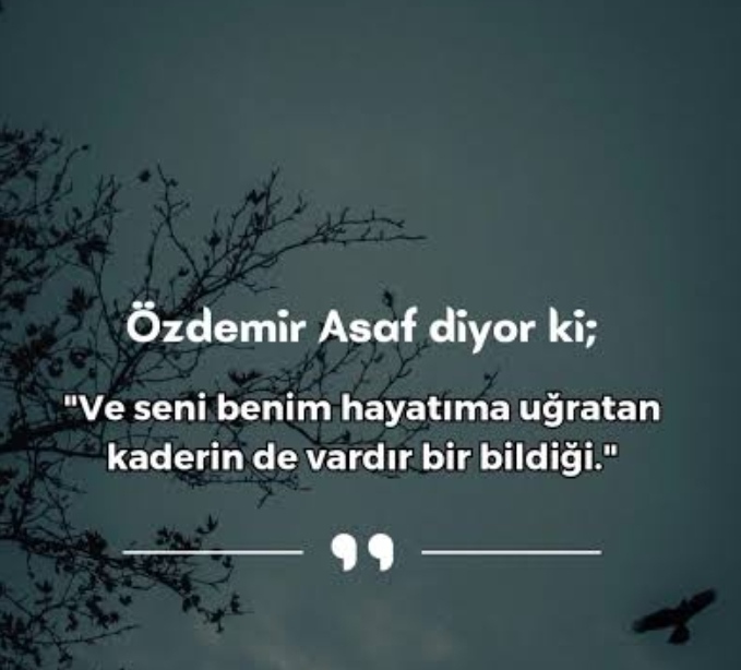 Şiirlerle aranız nasıl, Özdemir Asaf şiirlerini de seviyor musunuz?