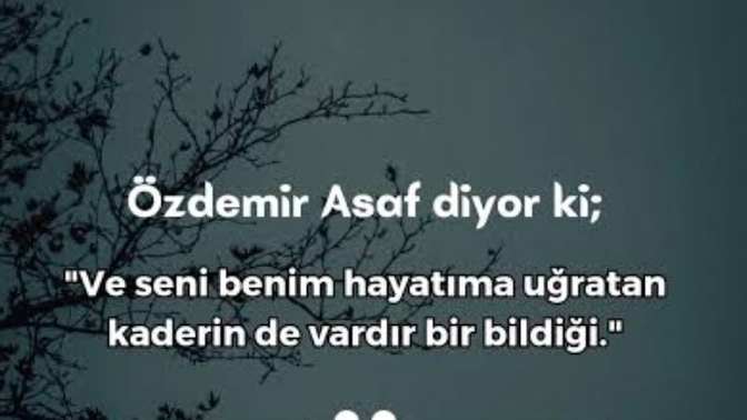 Şiirlerle aranız nasıl, Özdemir Asaf şiirlerini de seviyor musunuz?