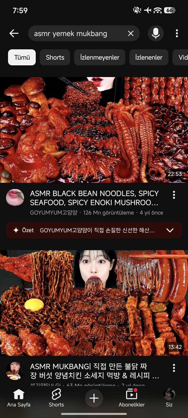 ASMR Yemek videolarını sever ve izler misiniz?