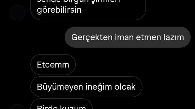 Olgun erkek isterken konuştuğun erkeklerin olgunluk seviyesi niye bu?