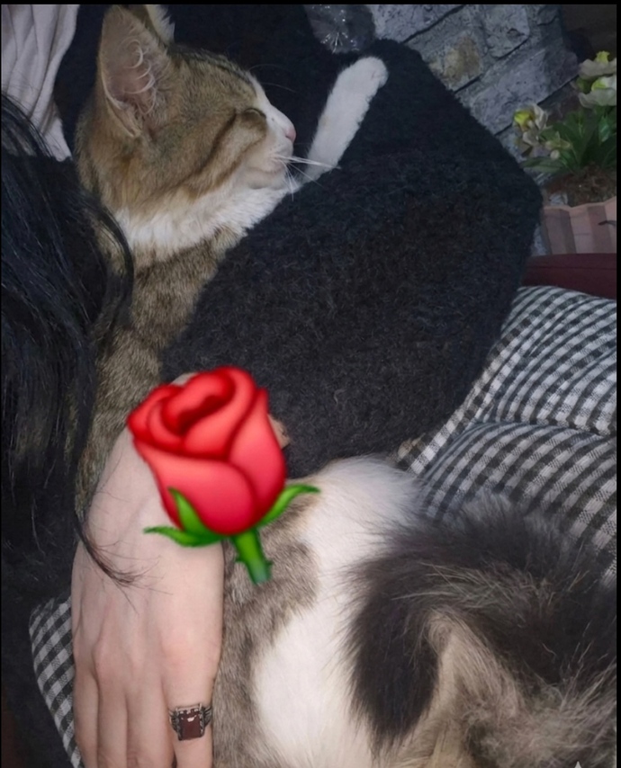 Sevmek Meselesi