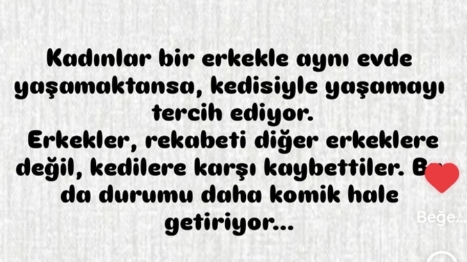 Erkeklerin kedilere karşı yenilmesi hakkında ne düşünüyorsunuz?