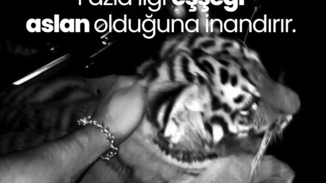 Bir insana fazla değer vermek hata mı?