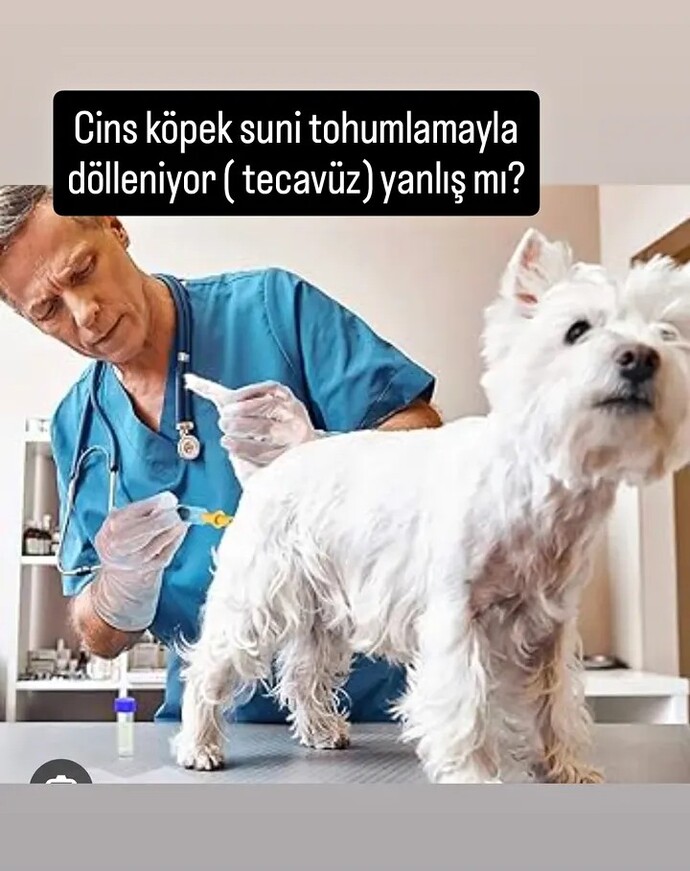 Süt alıyorsunuz hayvanlara tecavüz ediliyor cins hayvan alıyorlar hayvanlara tecavüz ediliyor sizce bu doğru bişeymi buna karşıçık?